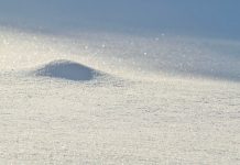 Does Your Baby Powder Cause Cancer?
