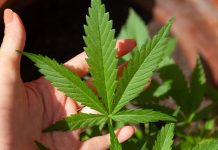 Ways to Boost Prayer with CBD