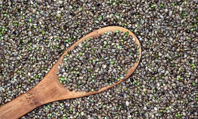 Hemp Goes To Rehab & Becomes Agribiz Green Gold