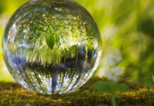 Benefits of Investing in Landscape Design