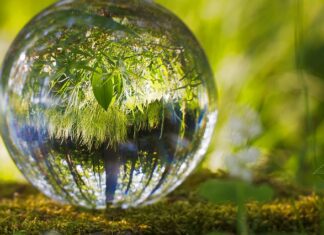 Benefits of Investing in Landscape Design