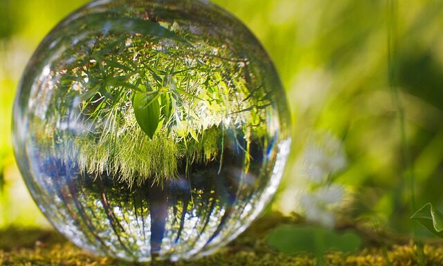 Benefits of Investing in Landscape Design