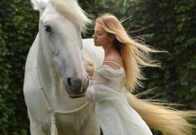 Brave horsemen, the history of cravats and five weeks of holiday festival in Zagreb, the capital of Croatia