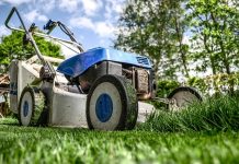 Landscaping Ideas to Refresh Your Garden for Summertime