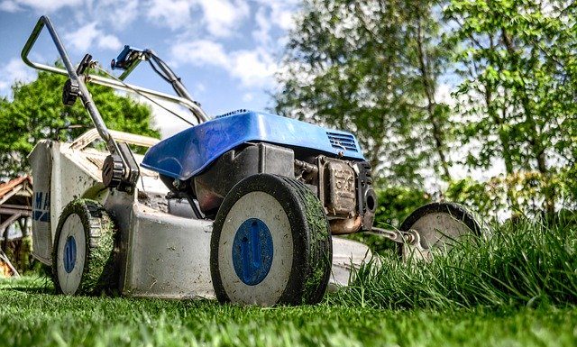 Landscaping Ideas to Refresh Your Garden for Summertime
