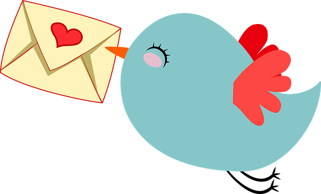 animal, anthropomorphized, bird