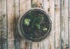 Nature Indoors: Grow A Soul-Soothing Terrarium