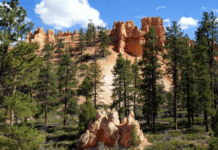 California National Parks in the USA: Overview, How to Get There