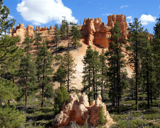 California National Parks in the USA: Overview, How to Get There