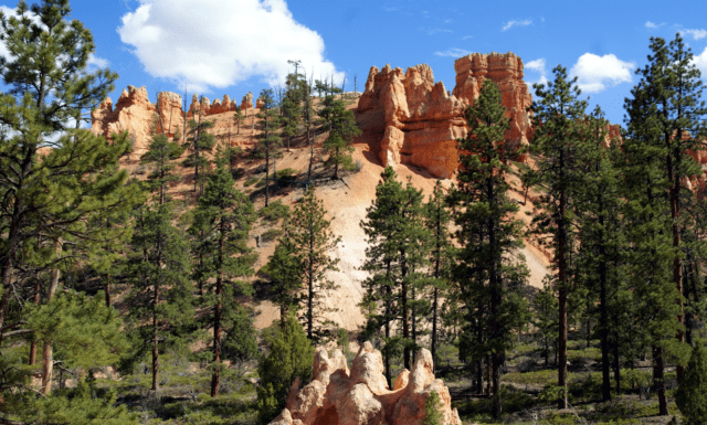 California National Parks in the USA: Overview, How to Get There