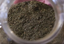 Kratom Tablets vs. Kratom Capsules Kratom Powder