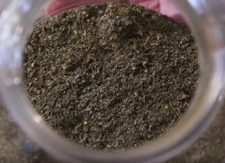 Kratom Tablets vs. Kratom Capsules Kratom Powder