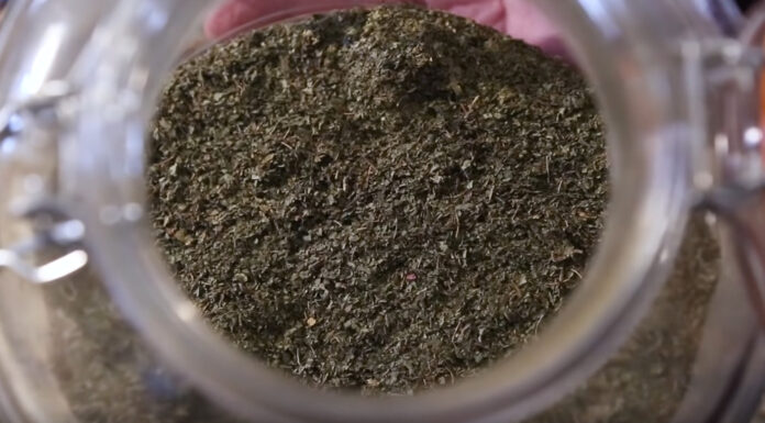 Kratom Tablets vs. Kratom Capsules Kratom Powder