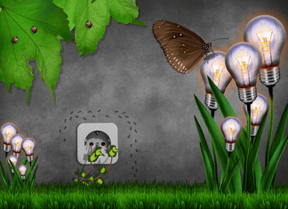 Five things to do to become more eco-friendly