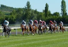 How To Deal With Betting Site Issues A group of people riding on the back of a horse Description automatically generated