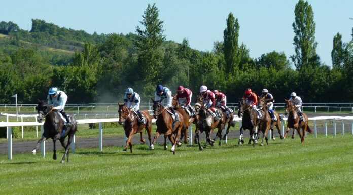 How To Deal With Betting Site Issues A group of people riding on the back of a horse Description automatically generated