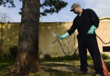 Improvements And Benefits of Home Pest Control A person holding a tree Description automatically generated with low confidence