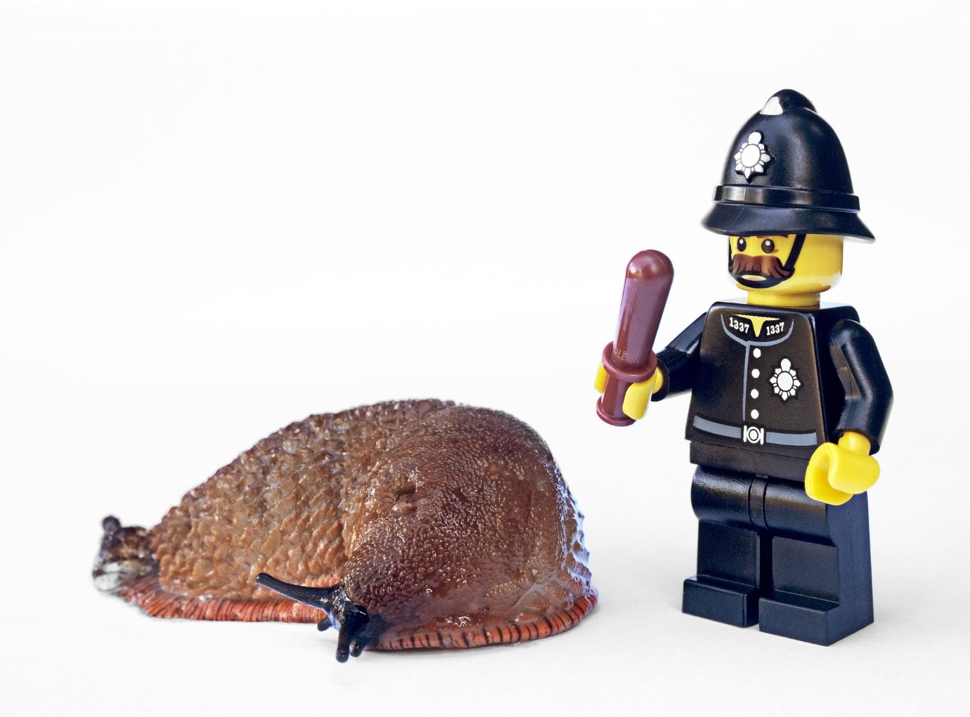 A picture containing toy Description automatically generated