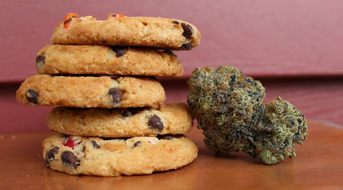 Can Cannabis Be In Your Recipe? + Best Food Pairings With It baked cookies