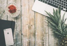 5 Tech Jobs You Might Enjoy C:\Users\Ben Beard\Downloads\pineapple-1704339_960_720.jpg