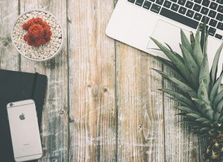 5 Tech Jobs You Might Enjoy C:\Users\Ben Beard\Downloads\pineapple-1704339_960_720.jpg