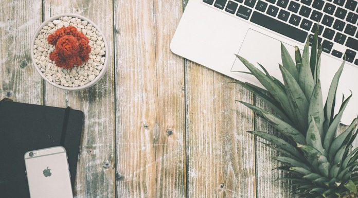 5 Tech Jobs You Might Enjoy C:\Users\Ben Beard\Downloads\pineapple-1704339_960_720.jpg