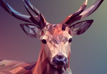 How to become a graphics designer in today’s saturated marketplace how to become an interior designer