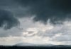 How to Read a Betting Line Like a Weather Forecast