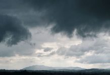 How to Read a Betting Line Like a Weather Forecast
