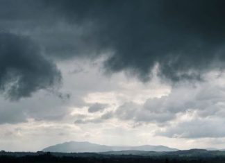 How to Read a Betting Line Like a Weather Forecast