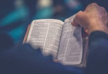How to Pick The Ideal Bible Translation person's hand holding book page