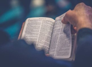 How to Pick The Ideal Bible Translation person's hand holding book page