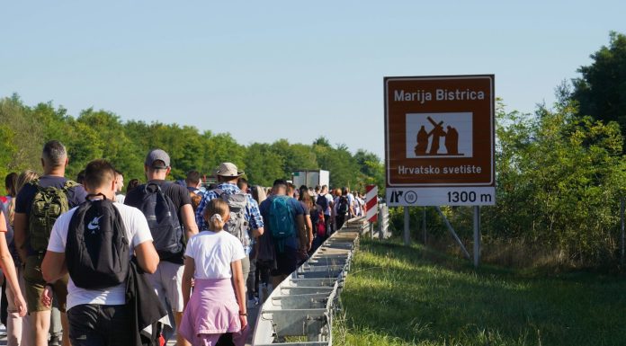 Via Franciagena: Pilgrimage to The Heart of The Catholic Church a large group of people walking on a road