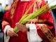 Celebrating Holy Week Around the World: A Time of Reflection, Tradition, and Devotion priest holding palm leaves
