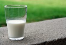 The Health Benefits of Cow Milk Every Parent Needs to Know Benefits of Cow Milk