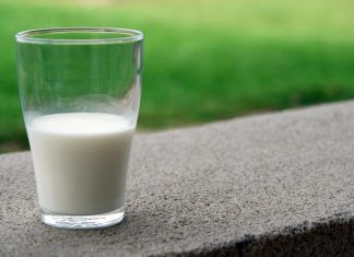 The Health Benefits of Cow Milk Every Parent Needs to Know Benefits of Cow Milk