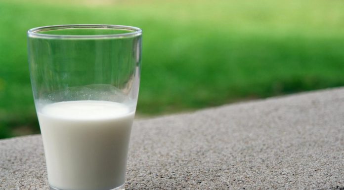The Health Benefits of Cow Milk Every Parent Needs to Know Benefits of Cow Milk