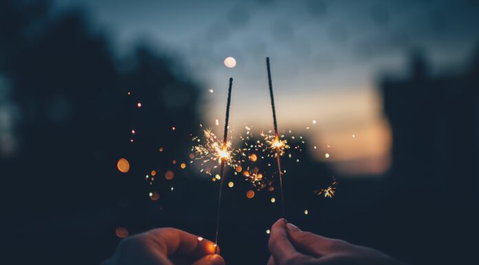 Pets And Fireworks: Tips On Helping Your Cat person holding fire cracker shallow focus photography