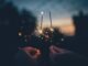 Pets And Fireworks: Tips On Helping Your Cat person holding fire cracker shallow focus photography