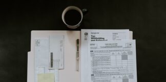 How To File Your Tax Return Like a Pro