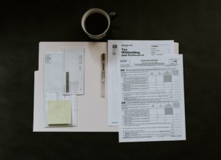 How To File Your Tax Return Like a Pro