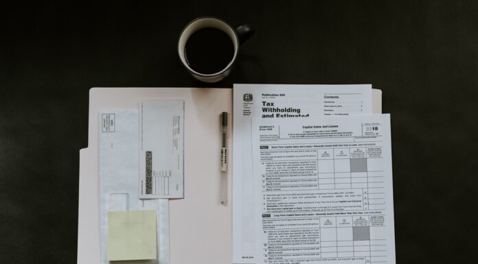 How To File Your Tax Return Like a Pro