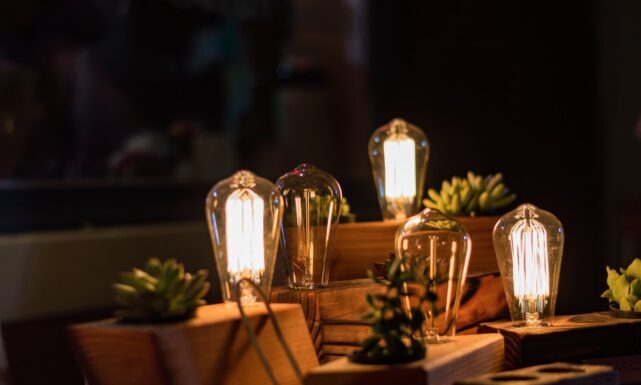 Top Five Different Applications of Customized LED Lights closeup photo of three lighted table lamps with plants