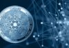Cardano Smart Contracts: What You Should Know About It