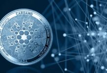 Cardano Smart Contracts: What You Should Know About It