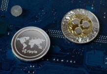 What is Ripple All About?