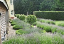 Establish a strong bonding with your boyfriend with these 6 Valentine’s Day gifts