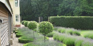 Establish a strong bonding with your boyfriend with these 6 Valentine’s Day gifts