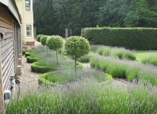 Establish a strong bonding with your boyfriend with these 6 Valentine’s Day gifts